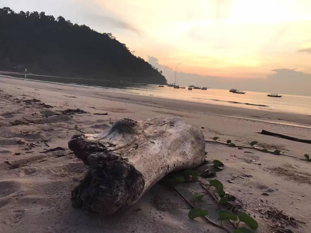 Juara Bay Resort Tioman island Dış mekan fotoğraf